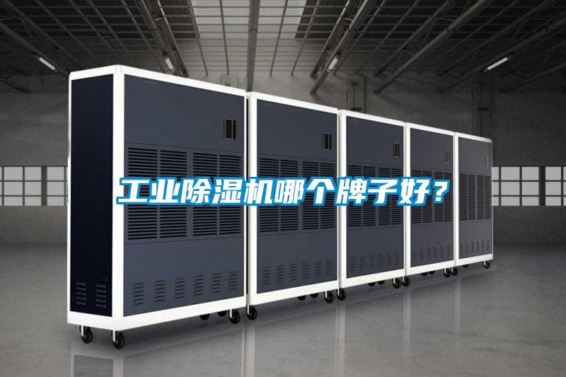 欧美成色手机在线观看 工业除湿机哪个牌子好？