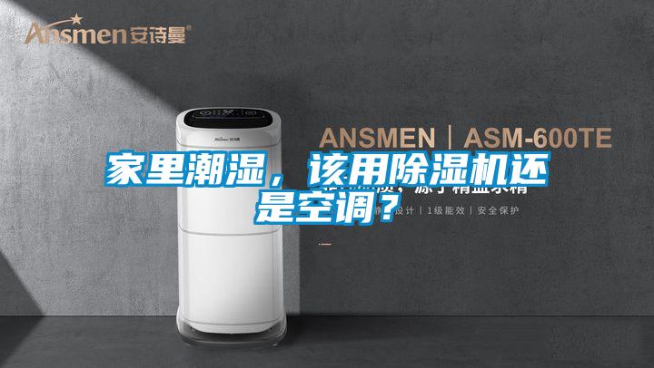 欧美黄色电影在线播放 家里潮湿，该用除湿机还是空调？