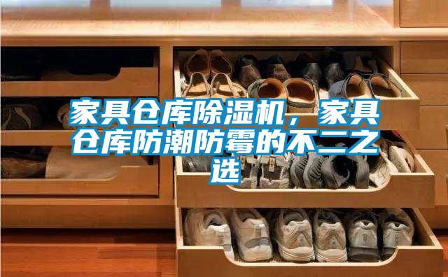欧美黄色电影在线播放 家具仓库除湿机，家具仓库防潮防霉的不二之选