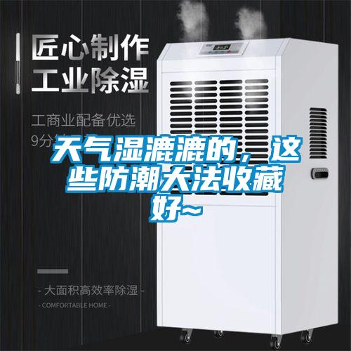 欧美成色手机在线观看 天气湿漉漉的，这些防潮大法收藏好~