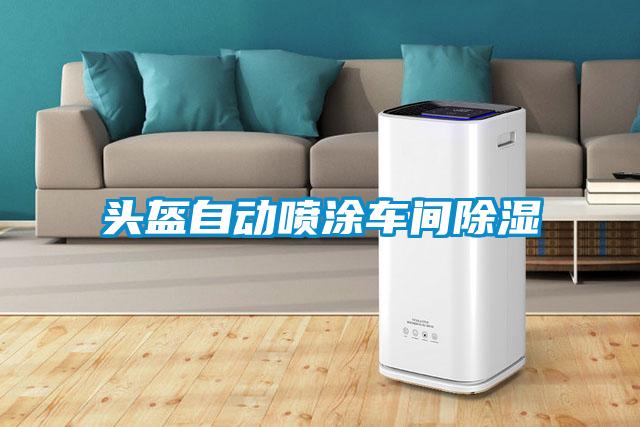 欧美黄色电影在线播放 头盔自动喷涂车间除湿