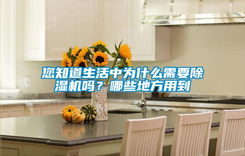 欧美成色手机在线观看 您知道生活中为什么需要除湿机吗？哪些地方用到