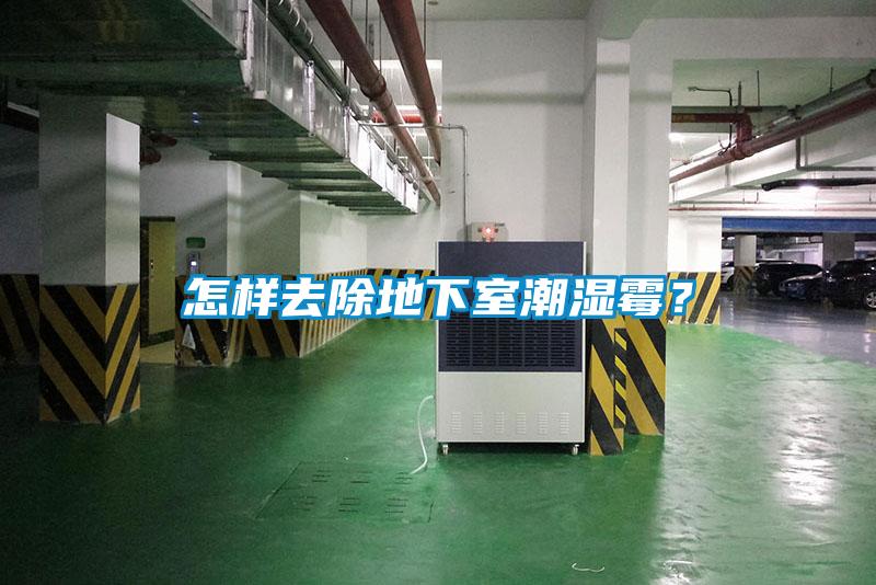 欧美黄色电影在线播放 怎样去除地下室潮湿霉？