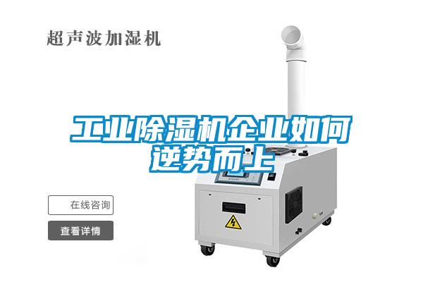 欧美黄色电影在线播放 工业除湿机企业如何逆势而上