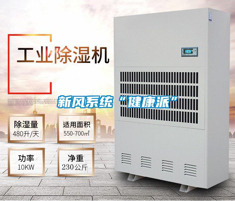 欧美黄色电影在线播放 新风系统“健康派”
