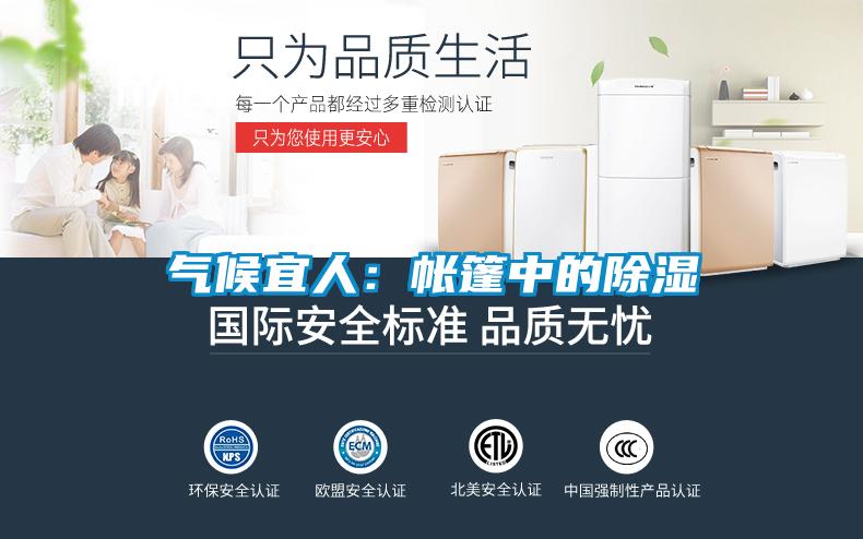 欧美黄色电影在线播放 气候宜人：帐篷中的除湿