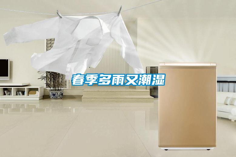 欧美黄色电影在线播放 春季多雨又潮湿