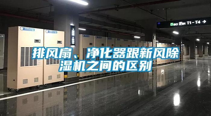 欧美成色手机在线观看 排风扇、净化器跟新风除湿机之间的区别