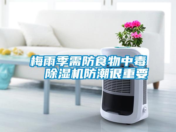 欧美成色手机在线观看 梅雨季需防食物中毒  除湿机防潮很重要