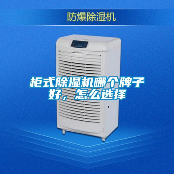 欧美黄色电影在线播放 柜式除湿机哪个牌子好，怎么选择