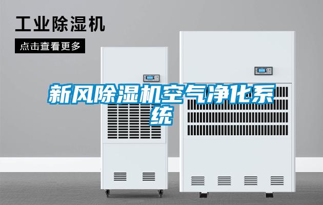 欧美黄色电影在线播放 新风除湿机空气净化系统