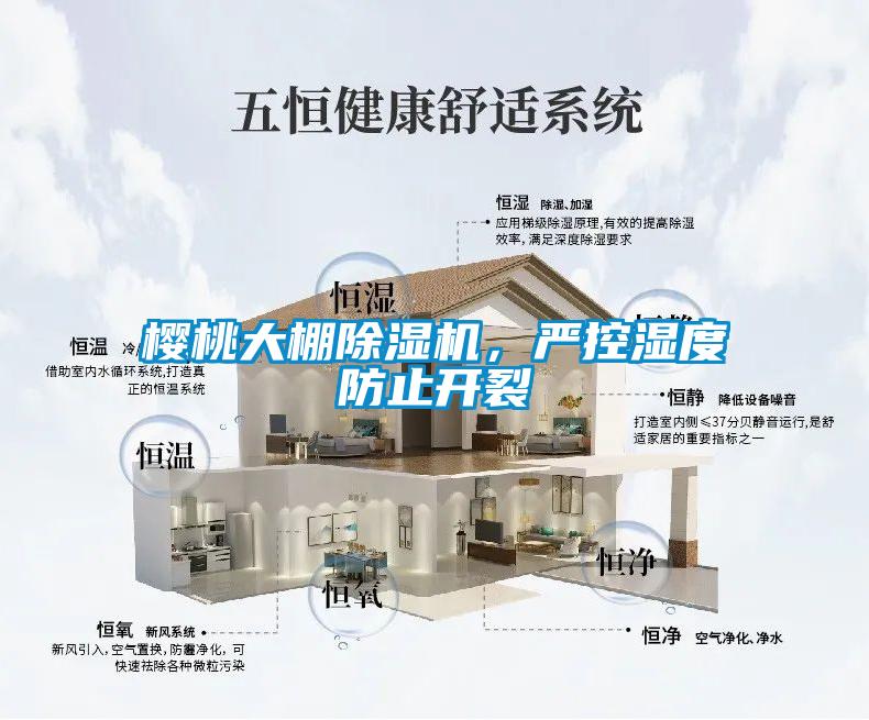 欧美黄色性爱视频网站 樱桃大棚除湿机，严控湿度防止开裂