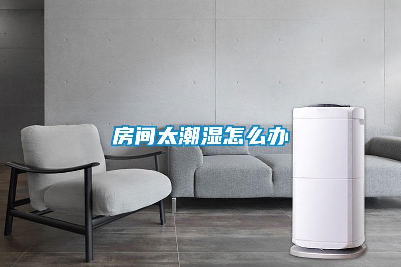 欧美黄色性爱视频网站 房间太潮湿怎么办