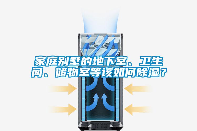 欧美黄色性爱视频网站 家庭别墅的地下室、卫生间、储物室等该如何除湿？