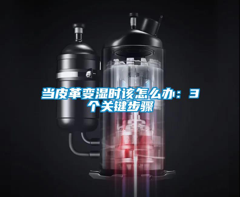 欧美黄色性爱视频网站 当皮革变湿时该怎么办：3个关键步骤