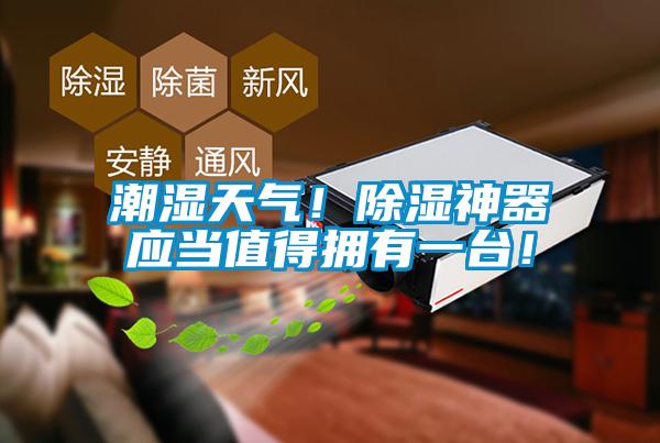 欧美成色手机在线观看 潮湿天气！除湿神器应当值得拥有一台！