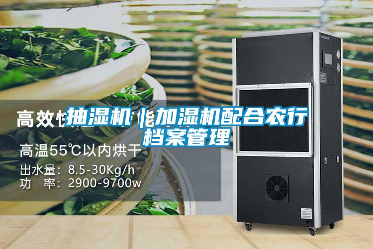 欧美黄色电影在线播放 抽湿机｜加湿机配合农行档案管理