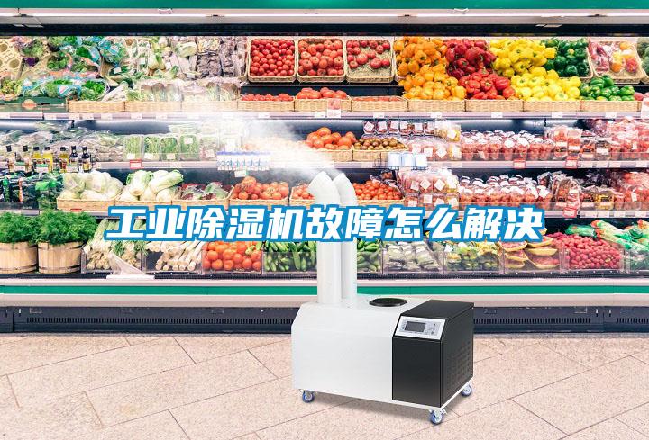 欧美黄色性爱视频网站 工业除湿机故障怎么解决