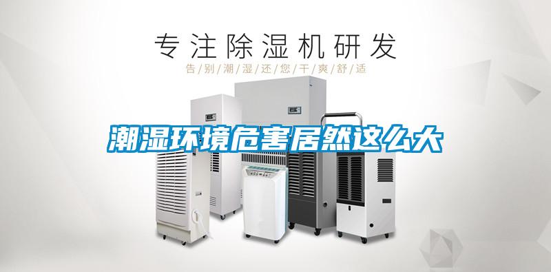 欧美黄色电影在线播放 潮湿环境危害居然这么大