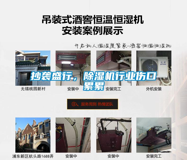 欧美黄色电影在线播放 抄袭盛行，除湿机行业伤口累累