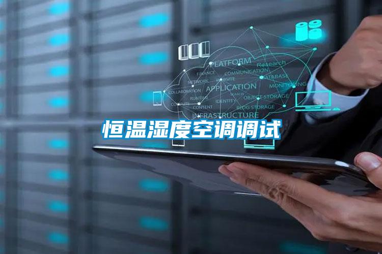 欧美黄色性爱视频网站 恒温湿度空调调试