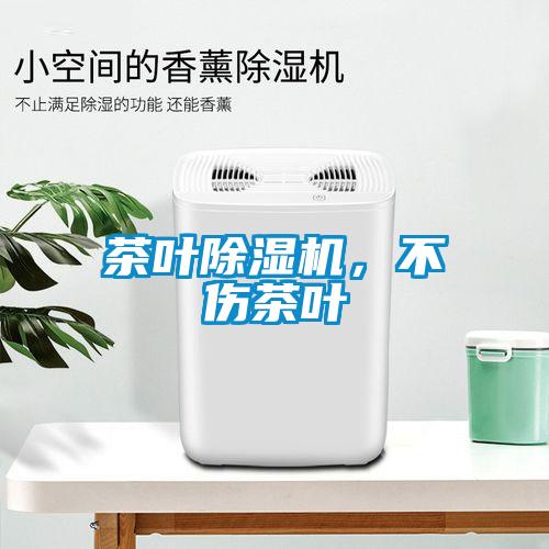 欧美黄色电影在线播放 茶叶除湿机，不伤茶叶