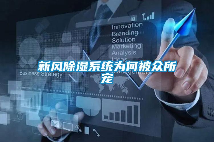 欧美黄色性爱视频网站 新风除湿系统为何被众所宠