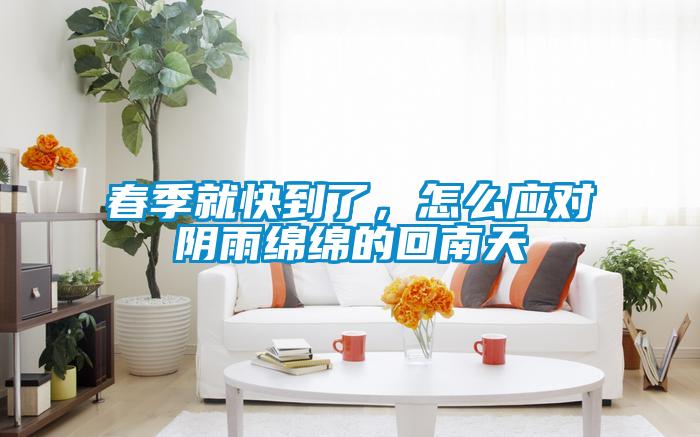 欧美黄色性爱视频网站 春季就快到了，怎么应对阴雨绵绵的回南天
