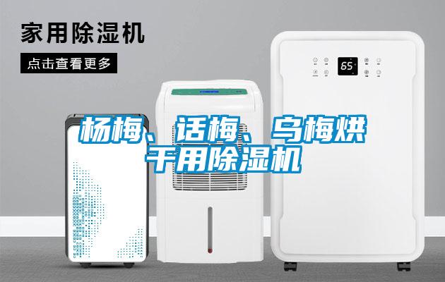 欧美黄色性爱视频网站 杨梅、话梅、乌梅烘干用除湿机