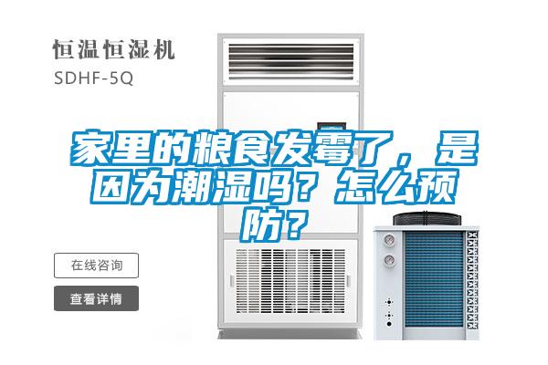 欧美黄色性爱视频网站 家里的粮食发霉了，是因为潮湿吗？怎么预防？