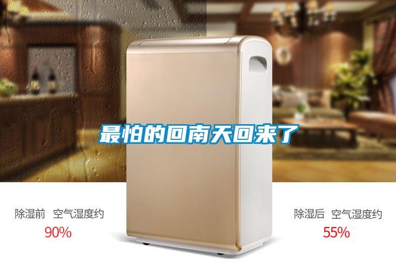欧美黄色电影在线播放 最怕的回南天回来了