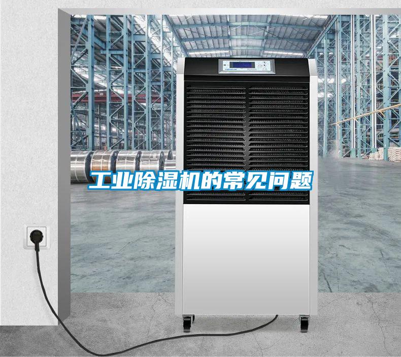 欧美黄色性爱视频网站 工业除湿机的常见问题