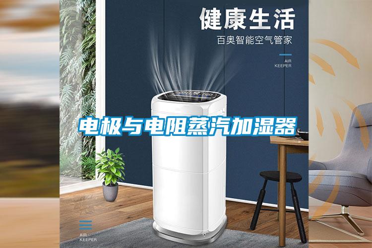 欧美黄色性爱视频网站 电极与电阻蒸汽加湿器