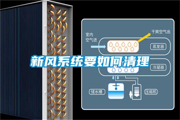 欧美黄色性爱视频网站 新风系统要如何清理