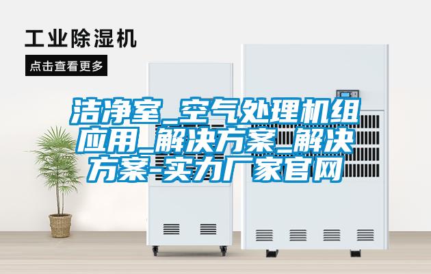 欧美成色手机在线观看 洁净室_空气处理机组应用_解决方案_解决方案-实力厂家官网