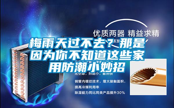欧美黄色电影在线播放 梅雨天过不去？那是因为你不知道这些家用防潮小妙招