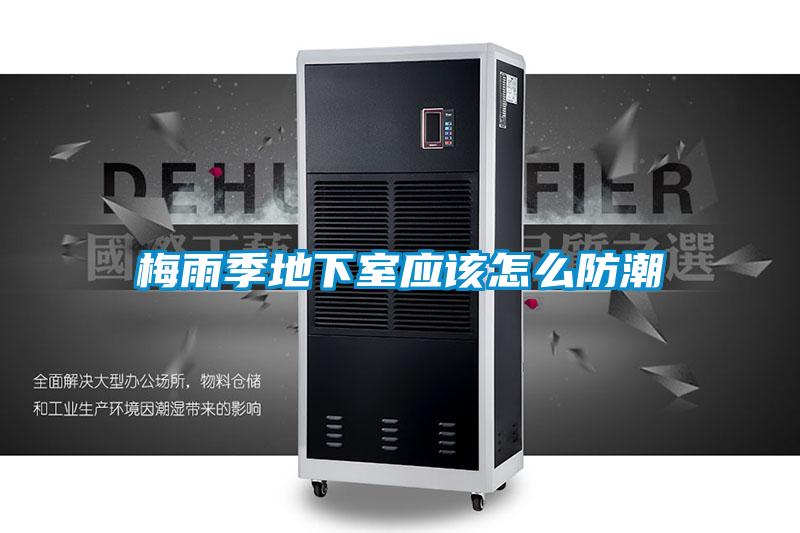 欧美黄色电影在线播放 梅雨季地下室应该怎么防潮