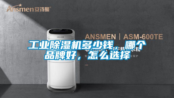 欧美黄色性爱视频网站 工业除湿机多少钱，哪个品牌好，怎么选择