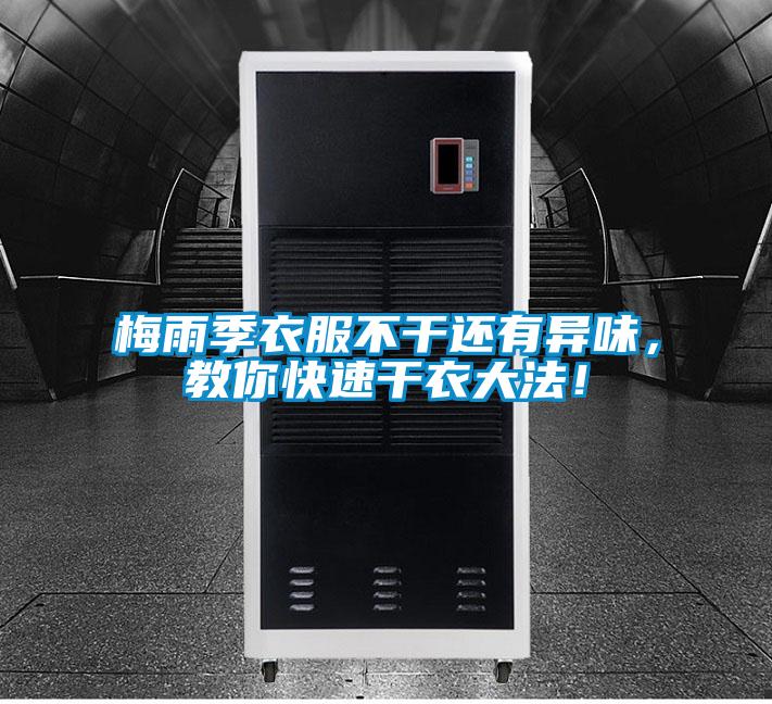 欧美成色手机在线观看 梅雨季衣服不干还有异味，教你快速干衣大法！