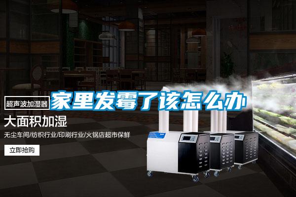 欧美黄色性爱视频网站 家里发霉了该怎么办