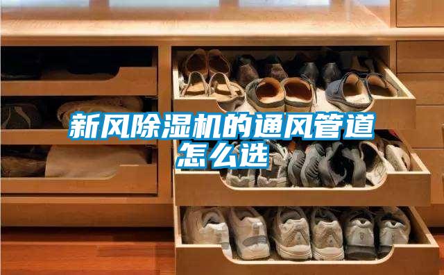 欧美黄色性爱视频网站 新风除湿机的通风管道怎么选