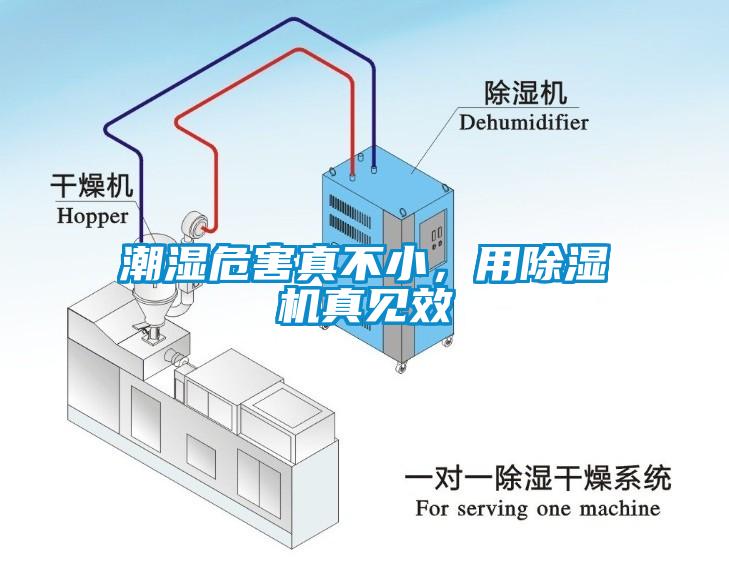 欧美成色手机在线观看 潮湿危害真不小，用除湿机真见效