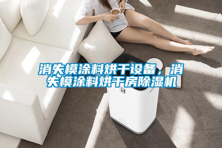 欧美黄色电影在线播放 消失模涂料烘干设备，消失模涂料烘干房除湿机
