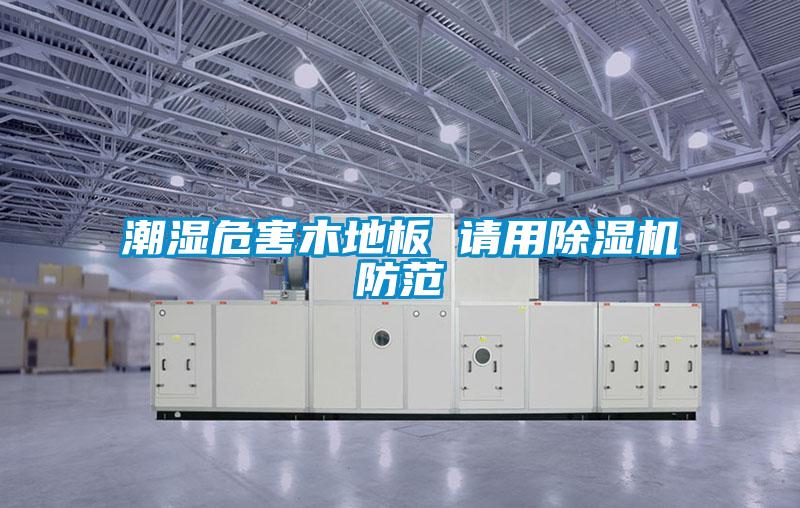 欧美黄色性爱视频网站 潮湿危害木地板 请用除湿机防范