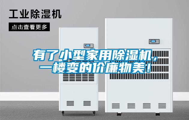 欧美黄色性爱视频网站 有了小型家用除湿机，一楼变的价廉物美！