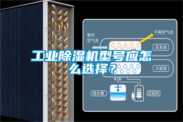 欧美成色手机在线观看 工业除湿机型号应怎么选择？