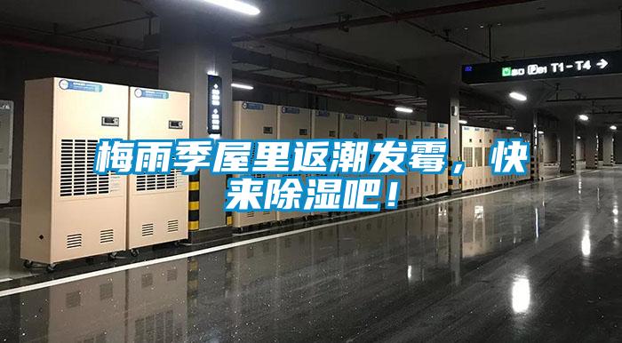 欧美黄色电影在线播放 梅雨季屋里返潮发霉，快来除湿吧！