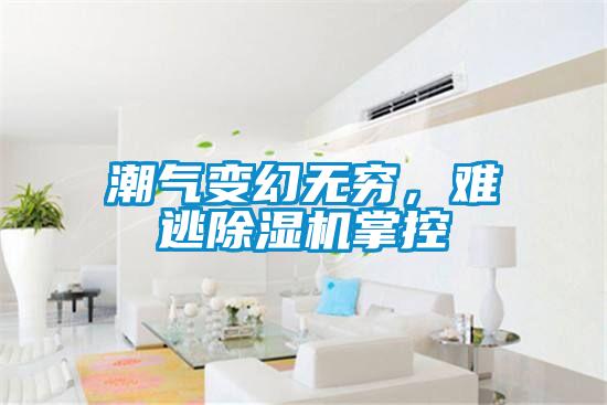欧美成色手机在线观看 潮气变幻无穷，难逃除湿机掌控