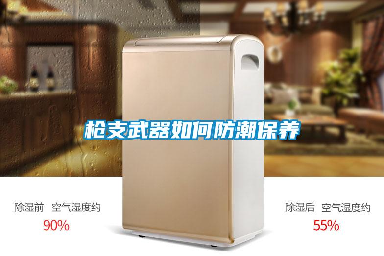 欧美黄色电影在线播放 枪支武器如何防潮保养