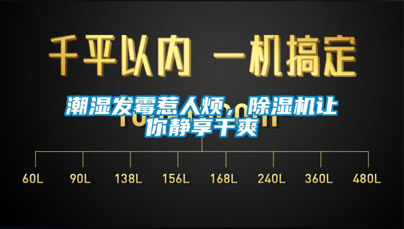 欧美黄色性爱视频网站 潮湿发霉惹人烦，除湿机让你静享干爽